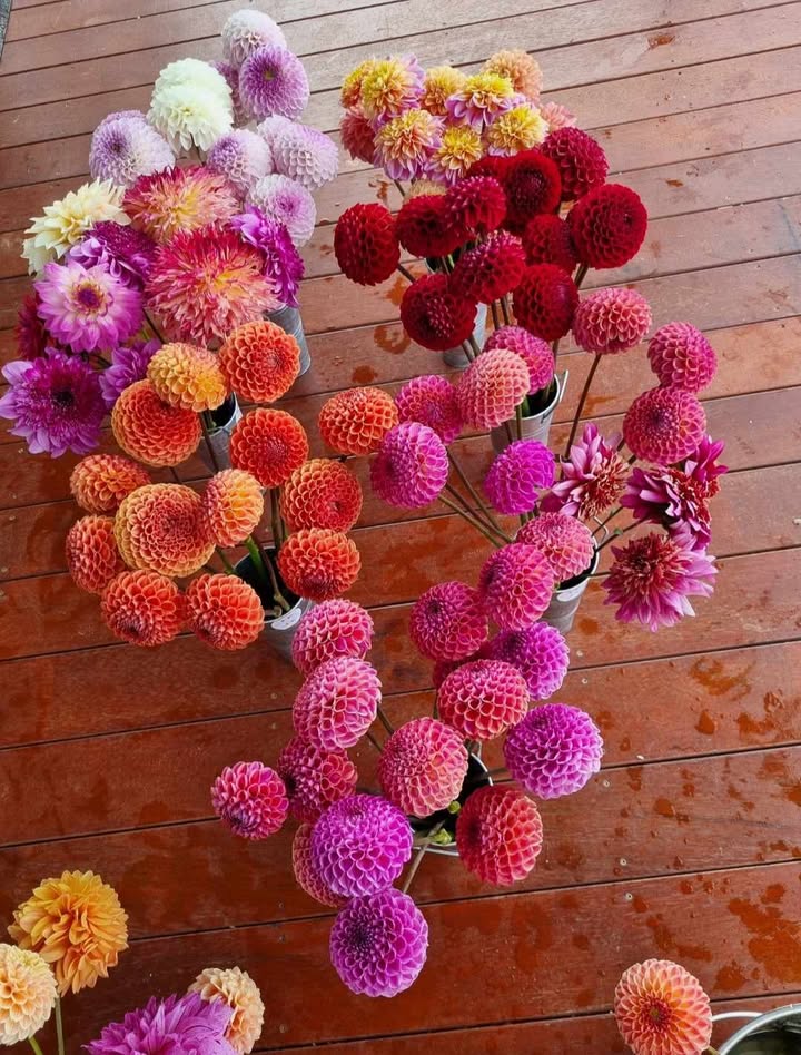 The Cutting Garden Mix Seeds