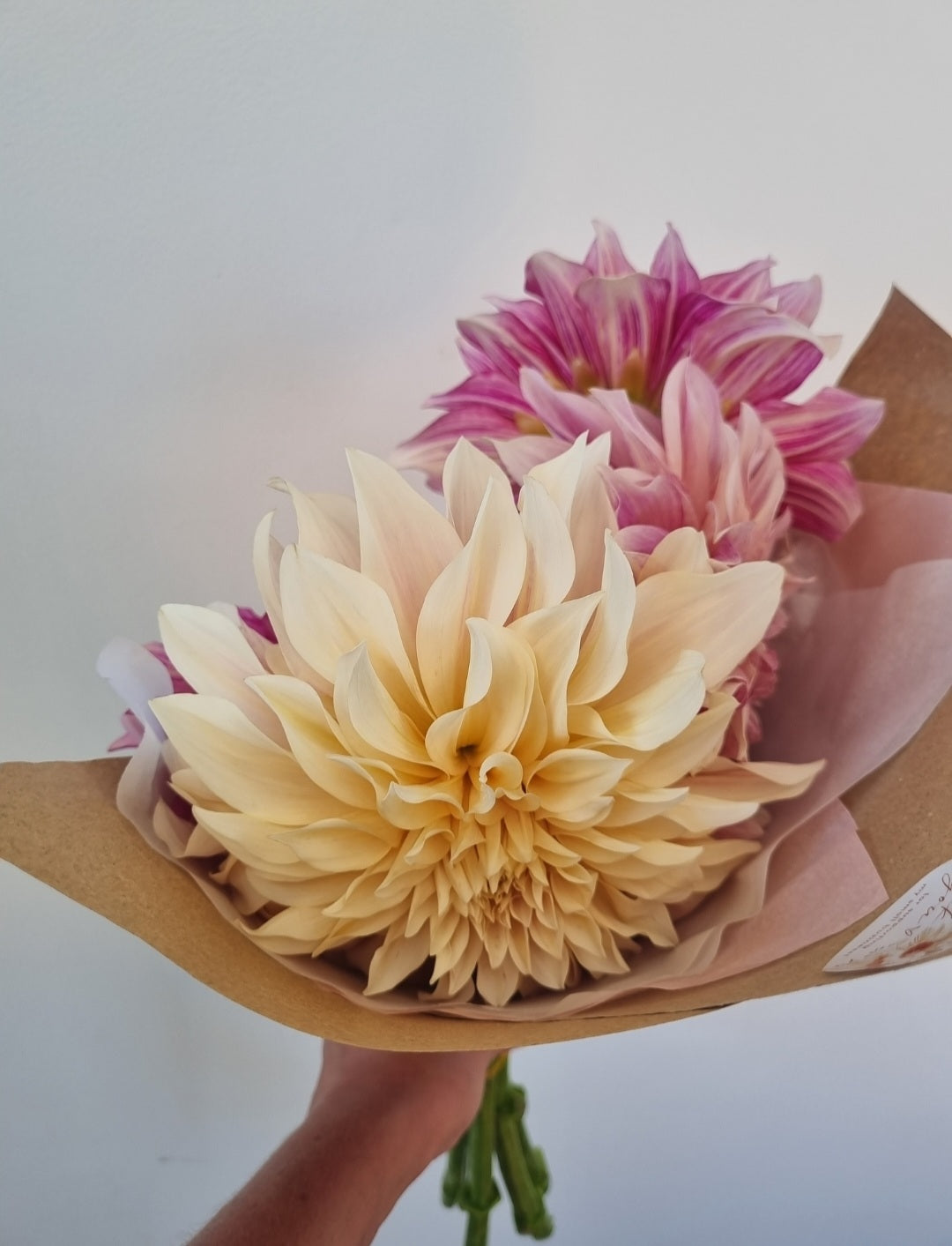 Cafe au Lait Tubers