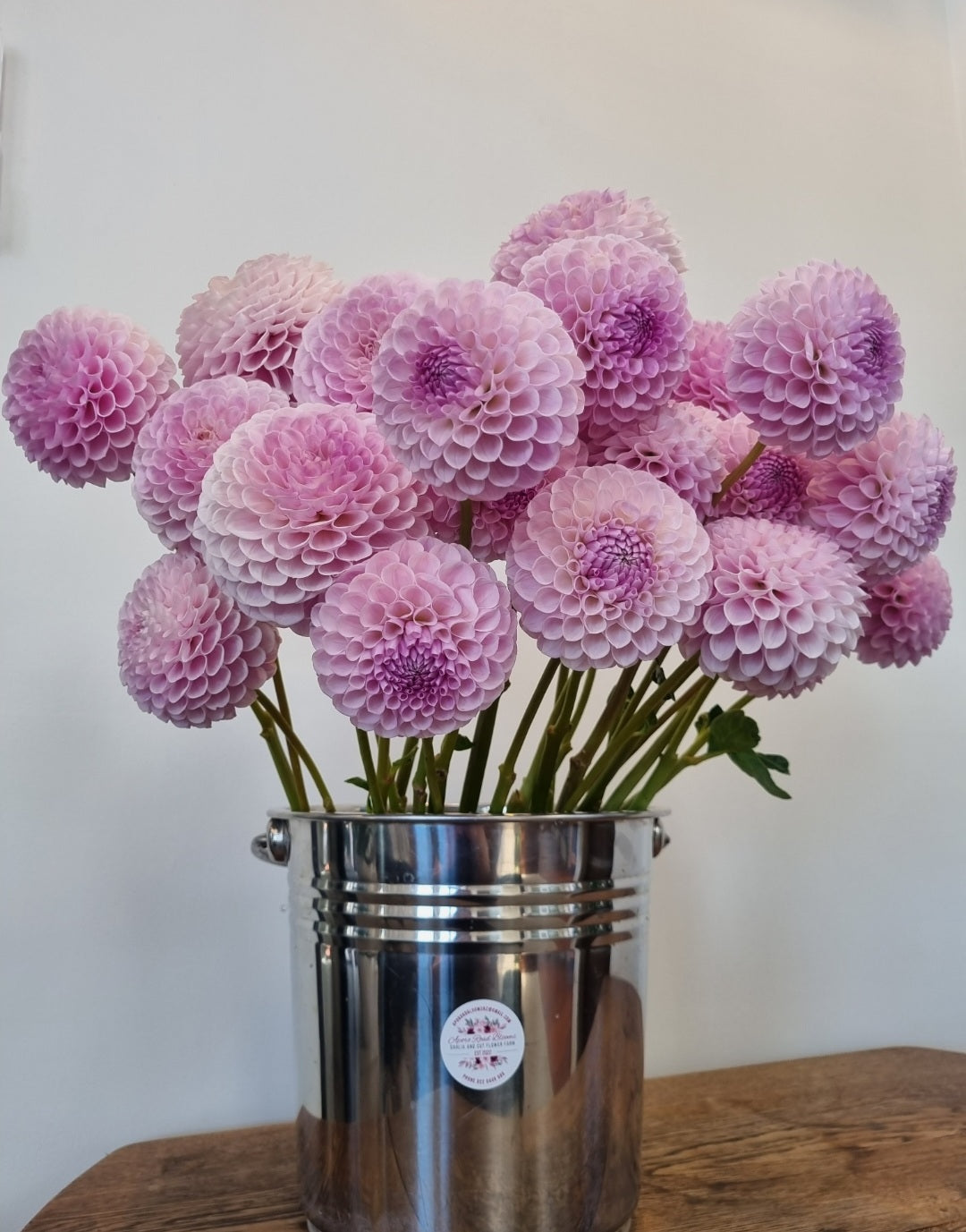 Megan Dean Tubers