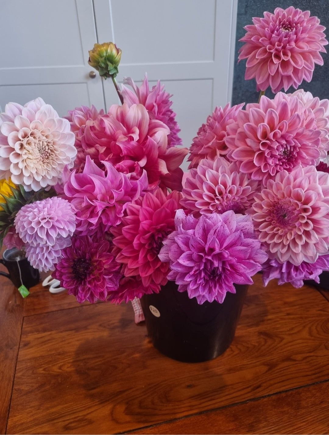 Mixed buckets of Dahlias.