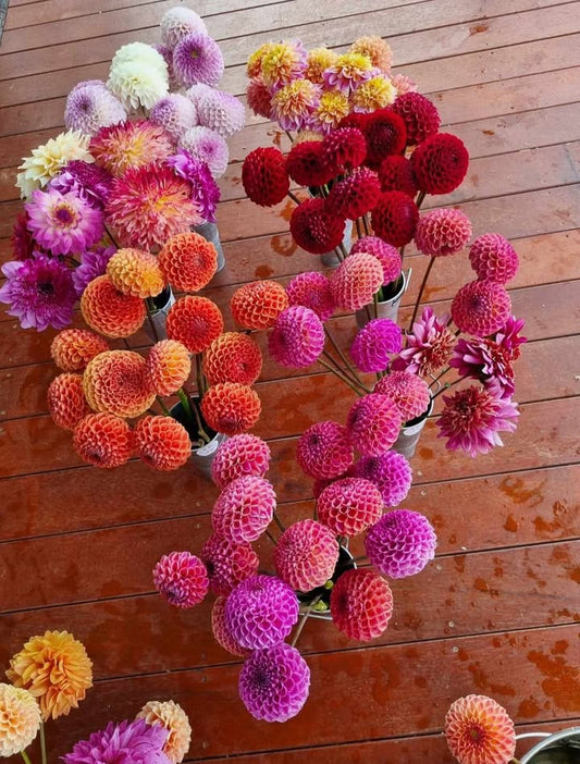 The Cutting Garden Mix Seeds