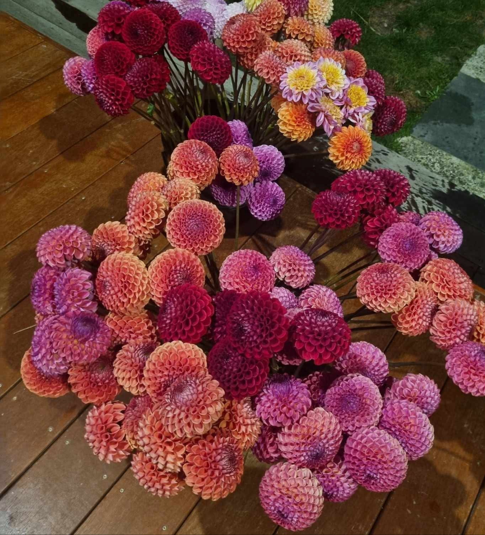 The Cutting Garden Mix Seeds