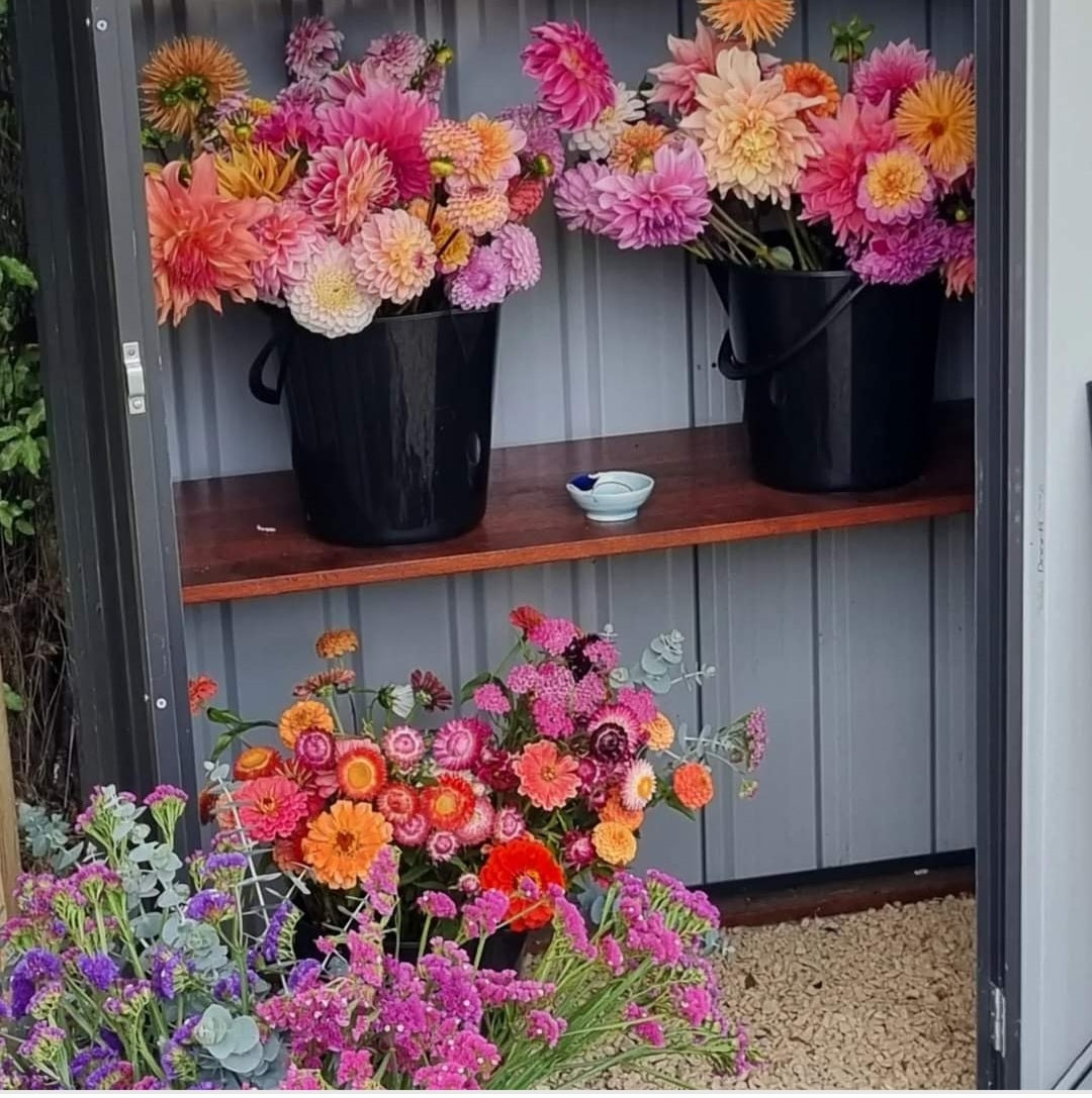 Mixed buckets of Dahlias.