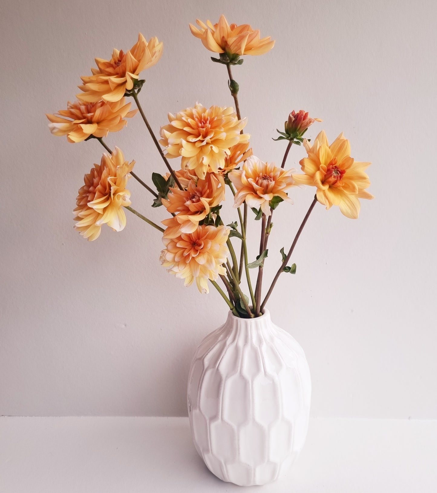 Orange Perception Tubers