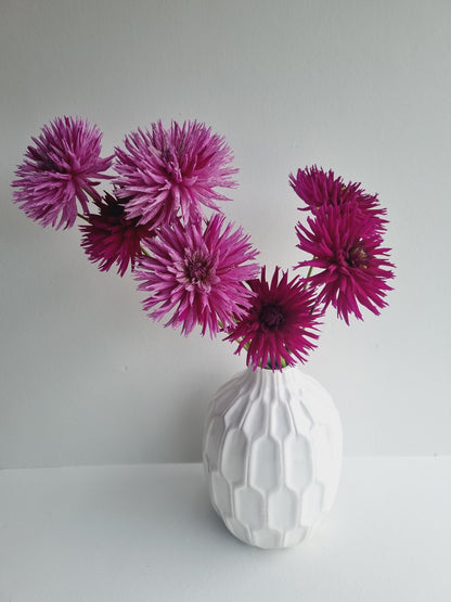 Striped Ambition Tubers