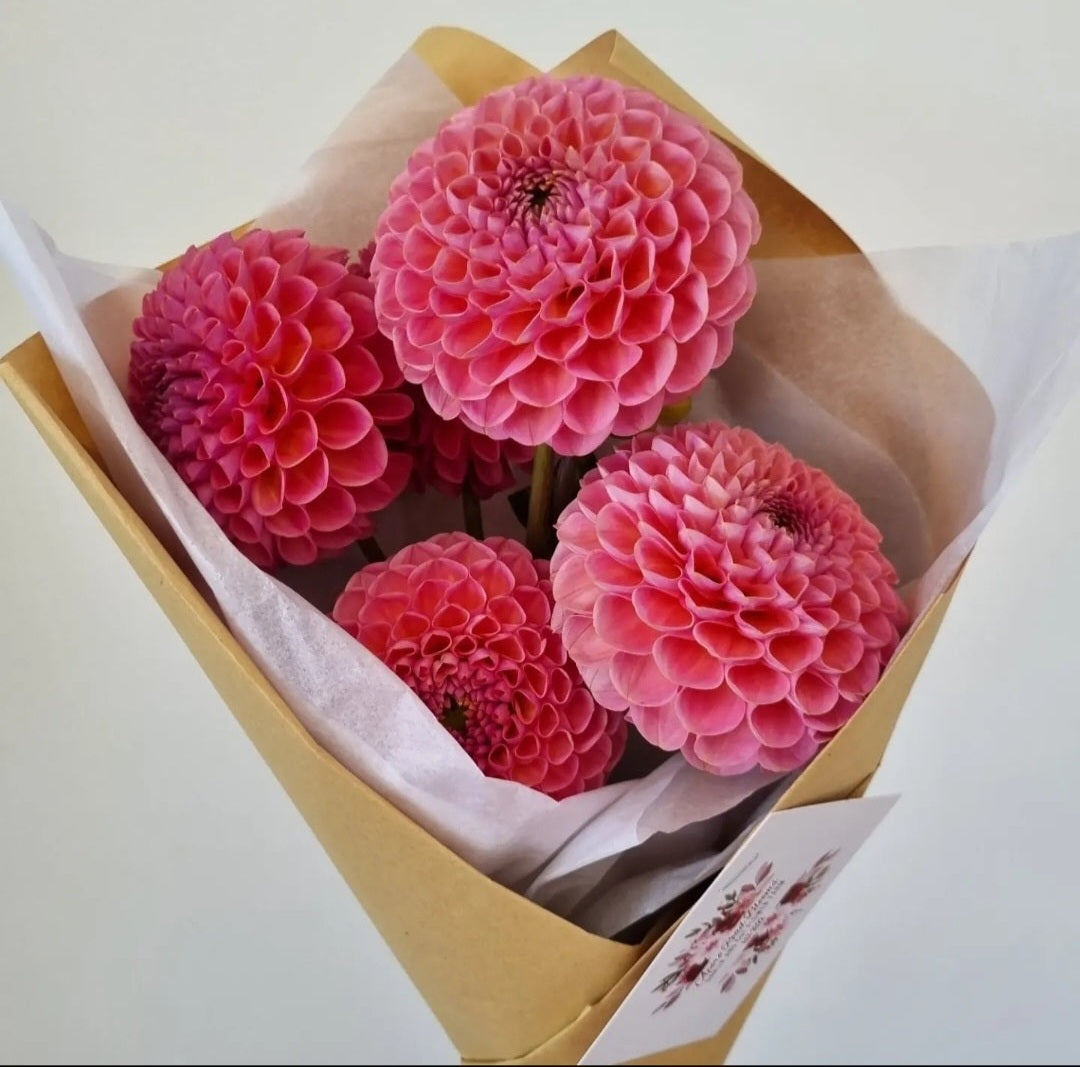Hamari Rose, strictly one per customer.