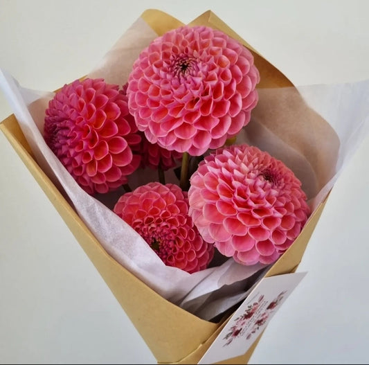 Hamari Rose, strictly one per customer.