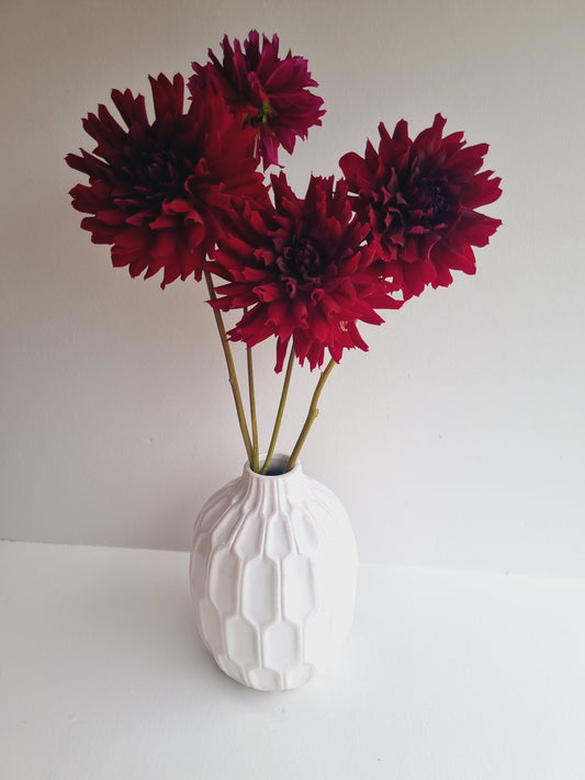 Hollyhill Black Beauty Tubers