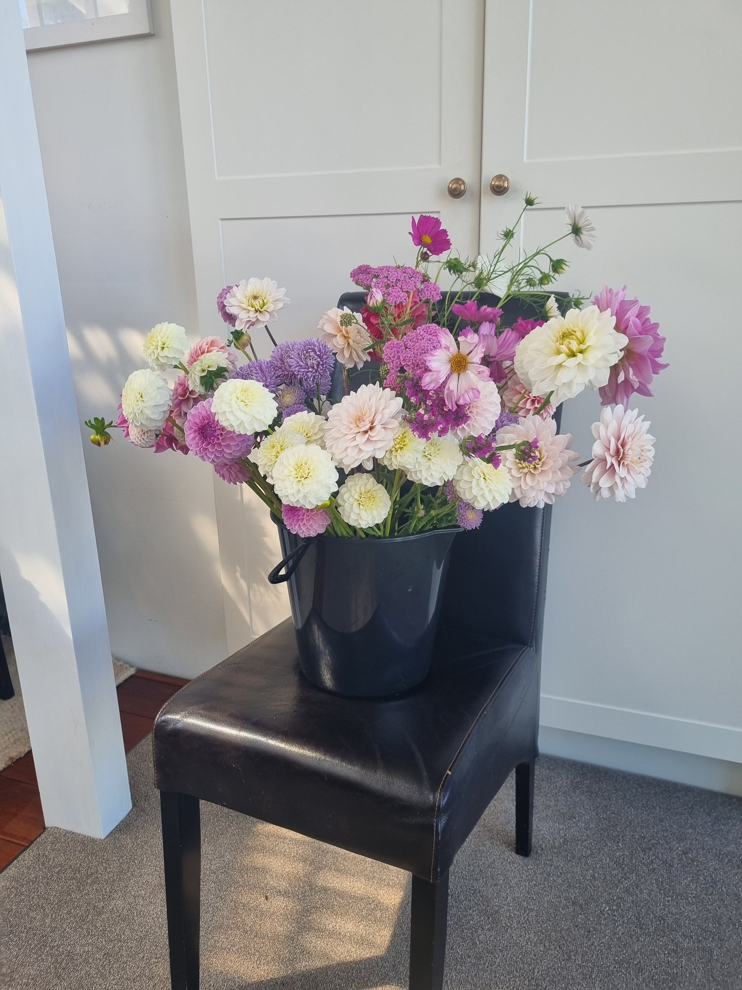 Mixed buckets of Dahlias.